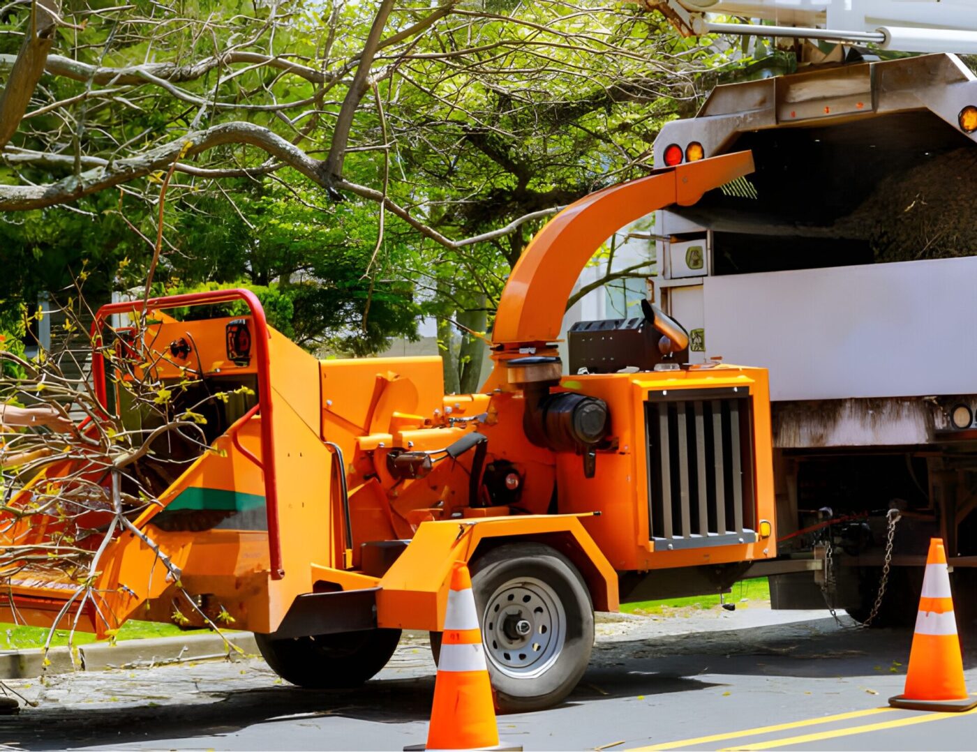 Expert Tree Service and Stump Removal 833-722-2141